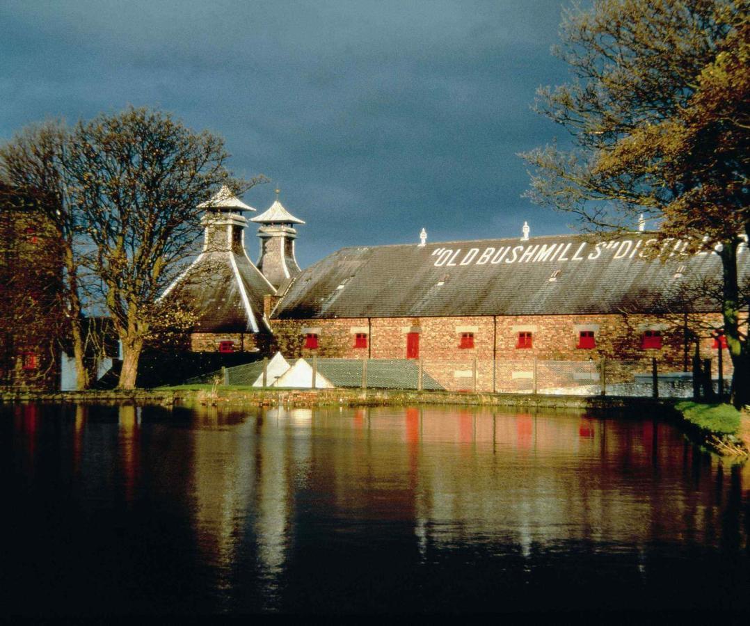 Braeside B&B Bushmills Eksteriør bilde