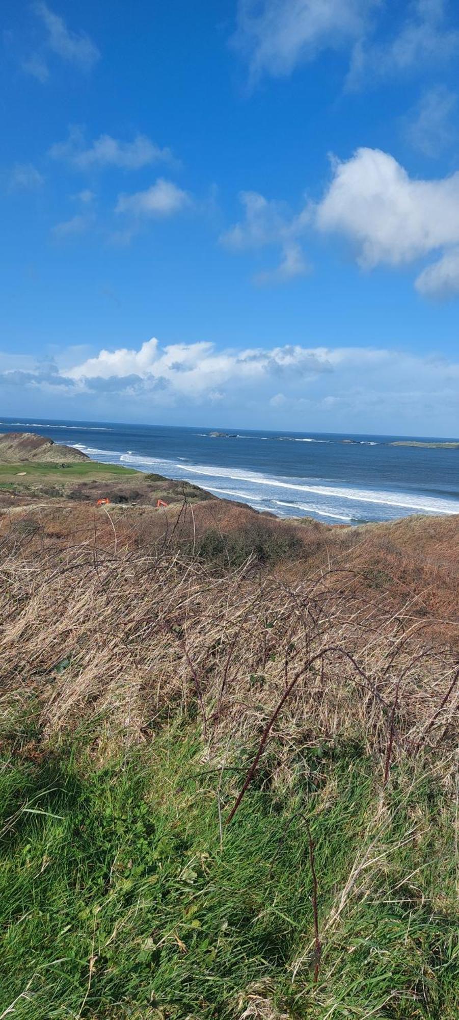 Braeside B&B Bushmills Eksteriør bilde